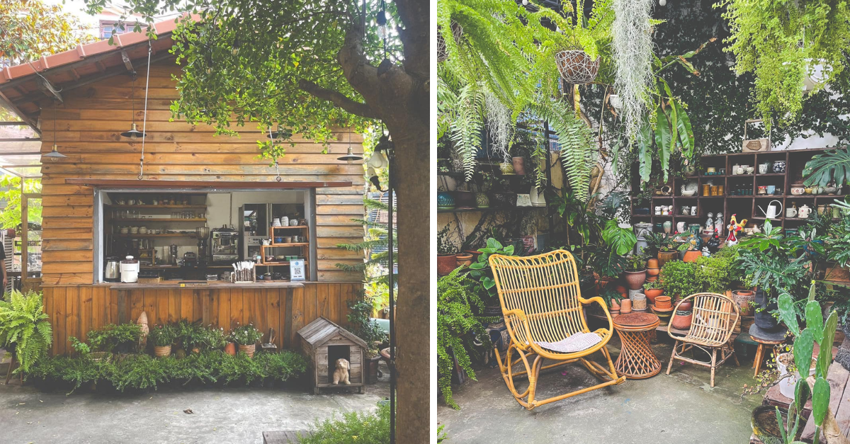 Quán cà phê sân vườn ngập tràn sắc xanh