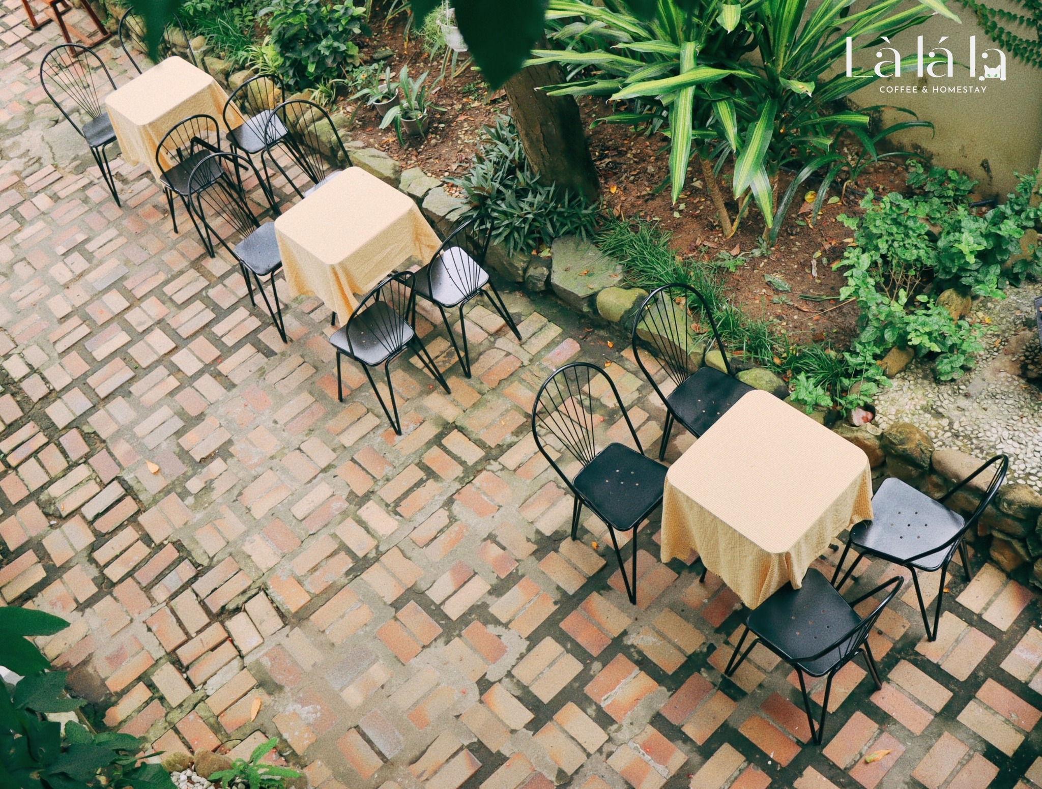 Là Lá La Coffee and Homestay là địa điểm lý tưởng để thư giãn, chill chill.